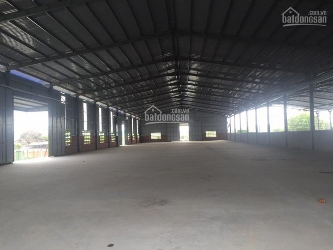 Chính Chủ Cho Thuê Nhanh Mặt Bằng 1000m2 đường Bình Giã, Phường 8 1