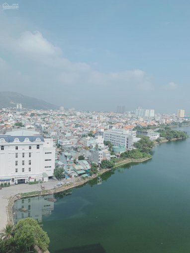 Chung Cư Melody 1pn 5948 M2 View Hồ Bàu Sen, Cách Biển 200m Giá 1tỷ950 Lh: 0886439479 4