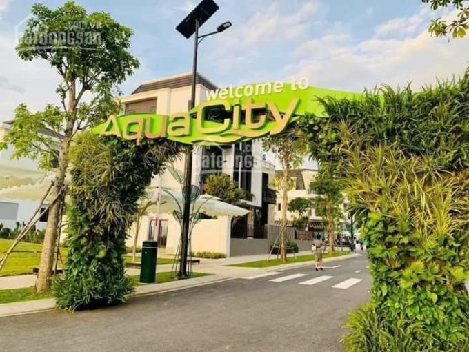 Chuyên Chuyển Nhượng Aqua City, Giá Tốt Nhất Tất Cả Các Phân Khu Cập Nhật Tháng 1/2021, 0907517233 3