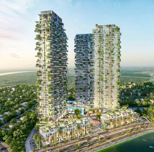 Chuyển Nhượng Căn Hộ Studio 1 Phòng Ngủ Sol Forest Cực đẹp, Giá Hữu Nghị Chủ đầu Tư, Quà 25 Tr 2