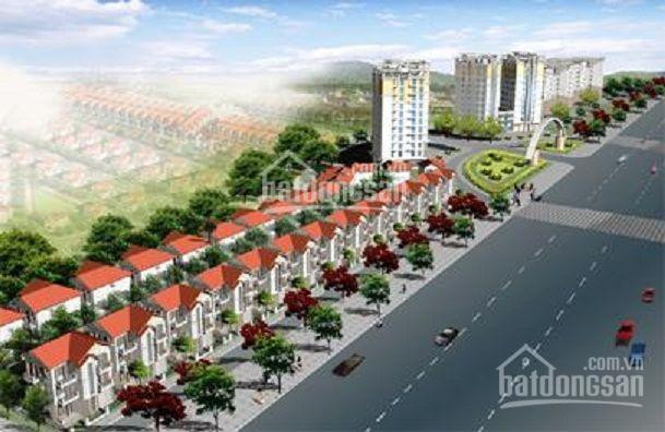 Cienco 5 Mê Linh Tiếp Tục đầu Ra Hàng Chuẩn, Giá Tốt 3