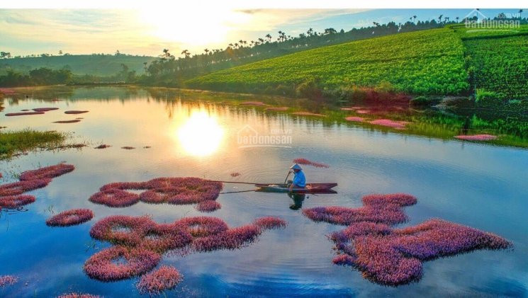 đất Nền đà Lạt Nghỉ Dưỡng Biệt Thự Vườn Sổ Hồng Công Chứng Ngay 4