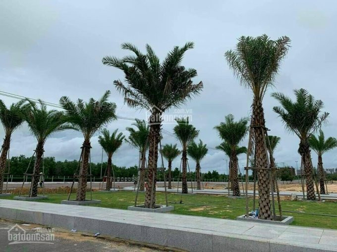 đất Nền Ven Biển Phân Khu 04, Nhơn Hội New City Vị Trí đắc địa Cửa Ngõ Du Lịch Quy Nhơn, Giá Tốt 1