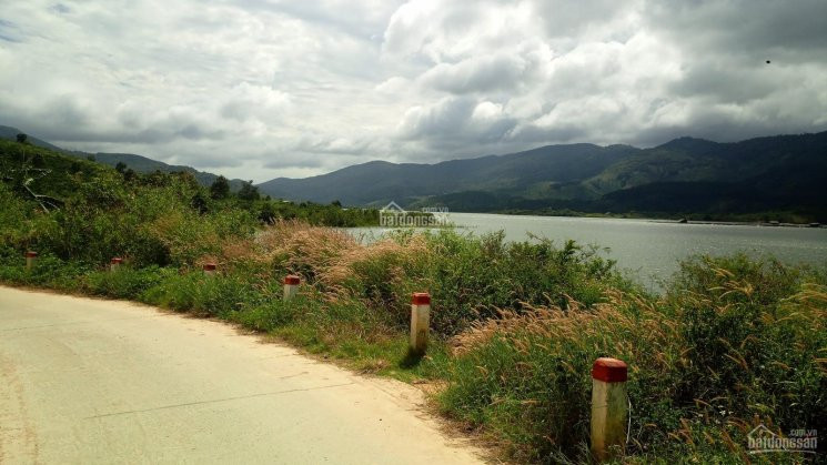 đất Thổ Cư Huyện Di Linh - View Hồ Tây, Hồ Kala, Sông đồng Nai 2