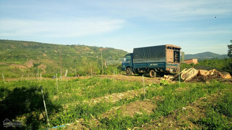 đất Thổ Cư Huyện Di Linh - View Hồ Tây, Hồ Kala, Sông đồng Nai 4