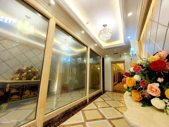 "gà đẻ Trứng Vàng" Phố Vip Mặc Thái Tông, Cầu Giấy - Doanh Thu 2 Tỷ/năm - 85m2 X 9t - 38,9 Tỷ 1