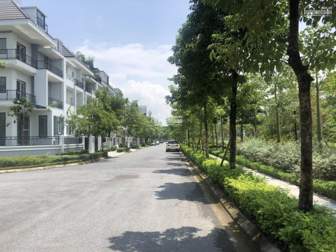 Gấp, Cần Bán Trước Tết Lô 140m2 Khu K Ciputra, Giá Thấp Nhất Thị Trường 215 Tỷ 2