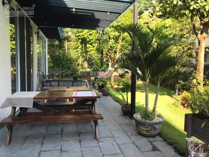 Gia đình Cần Cho Thuê Căn Villa Mimosa Ecopark, 300m2, đồ Cực đẹp, View Công Viên Lh 0967666683 4