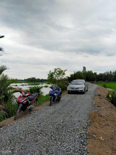 Hạ Giá 50tr Bán Gấp đất Thổ 5x30m View Sông Vàm Cỏ ở Tân Phú đức Hòa 1