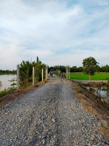 Hạ Giá 50tr Bán Gấp đất Thổ 5x30m View Sông Vàm Cỏ ở Tân Phú đức Hòa 3