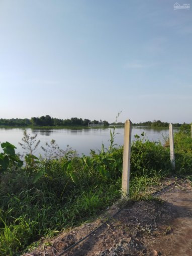 Hạ Giá 50tr Bán Gấp đất Thổ 5x30m View Sông Vàm Cỏ ở Tân Phú đức Hòa 10
