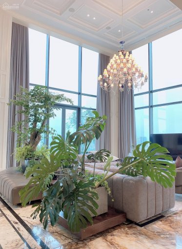 Hướng Dẫn Sở Hữu Penthouse Với Chiết Khấu Khủng Của Waterina Suites Gọi Ngay Thanh Tuyền 7