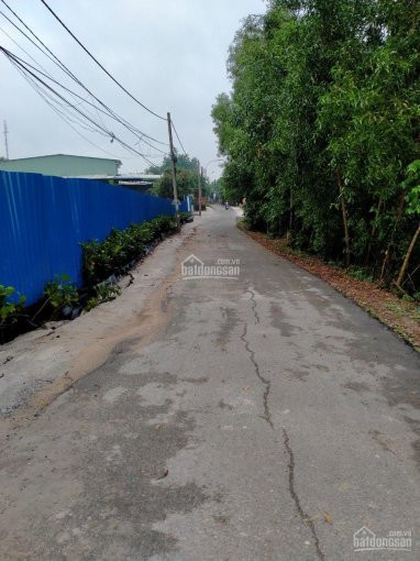 Lô đất Thổ Cư 192m2(7x298), đường Nguyễn Thị Nị Shr, Khu Dân Cư Hạ Tầng đầy đủ, ổn định 5