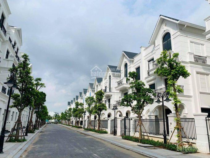 Mừng Xuân Tân Sửu Bán Rẻ Căn Lk Ngọc Trai Dt 708m2 Giá Chỉ 7x Tỷ Vinhomes Ocean Park 0985731508 5