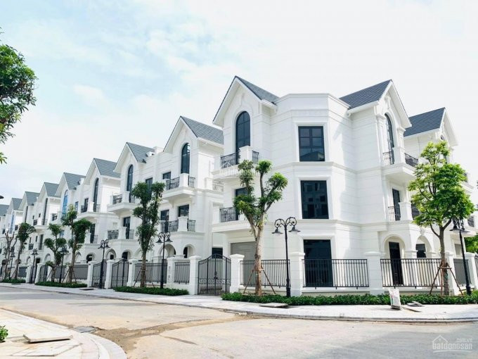 Mừng Xuân Tân Sửu Bán Rẻ Căn Lk Ngọc Trai Dt 708m2 Giá Chỉ 7x Tỷ Vinhomes Ocean Park 0985731508 6