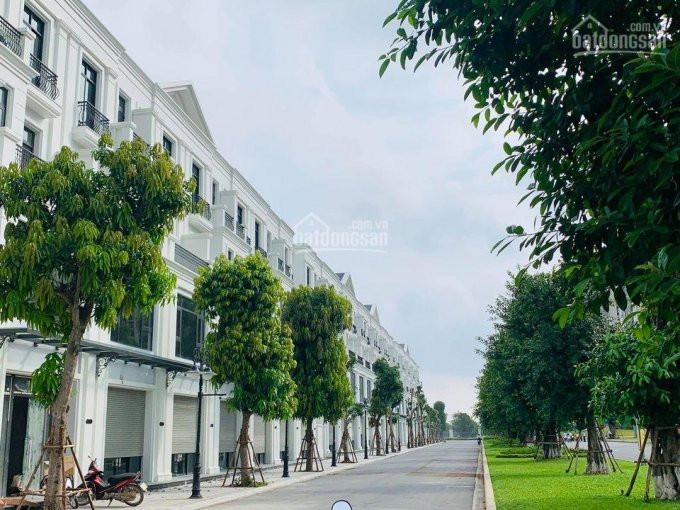 Mừng Xuân Tân Sửu Bán Rẻ Căn Lk Ngọc Trai Dt 708m2 Giá Chỉ 7x Tỷ Vinhomes Ocean Park 0985731508 7