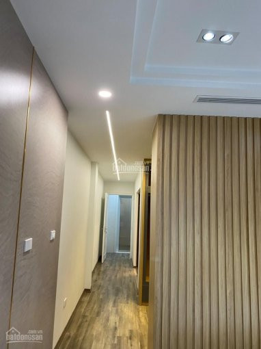 Nguyễn Khang Cầu Giấy, Gara ô Tô Kinh Doanh, 53m2, 7 Tầng Thang Máy, 85 Tỷ 5
