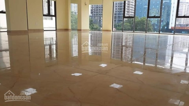 Nhà Phạm Tuấn Tài - Trần Quốc Hoàn 165m2, Mặt Tiền 95m, 9 Tầng, 1 Hầm, Giá 608 Tỷ 1