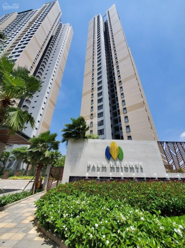 Palm Heights Bán Căn Giá Tốt Nhất Thị Trường 3