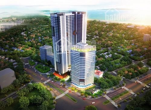 Shophouse Grand Center Quy Nhơn 2 Căn Cuối Cùng, 4 Mặt Tiền Trung Tâm Lh 0931025383 Nhận Ck Cao 4