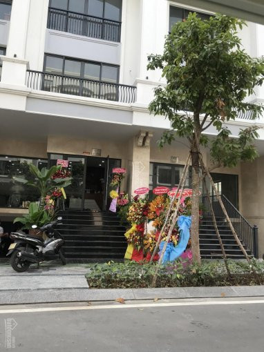 Shophouse, Nhà Phố, Biệt Thự đơn Lập Song Lập, Dinh Thự View Sông Tại Vạn Phúc City 5