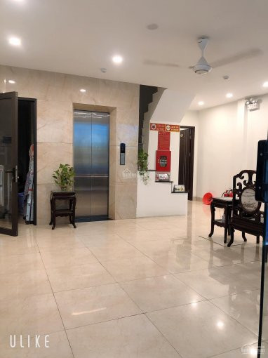 Tòa Nhà 7 Tầng đường Bưởi 100m2, 11 Căn Hộ 2 Ngủ, Doanh Thu đều 12 Tỷ/năm, Lh 0778568686 6