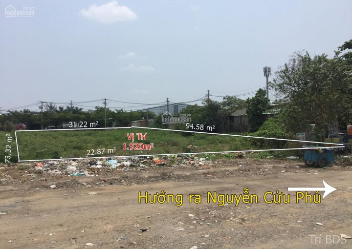 Trí Bđs, Chuyển Nhượng 2000m2 đất Kcn Tân Tạo - Mặt Tiền Nguyễn Cửu Phú, đường Container 3
