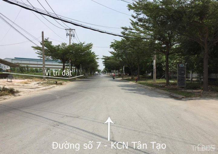 Trí Bđs, Chuyển Nhượng 2000m2 đất Kcn Tân Tạo - Mặt Tiền Nguyễn Cửu Phú, đường Container 5