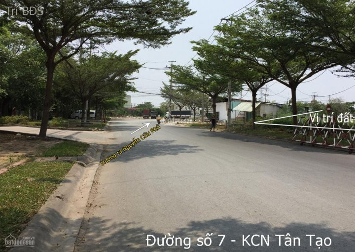 Trí Bđs, Chuyển Nhượng 2000m2 đất Kcn Tân Tạo - Mặt Tiền Nguyễn Cửu Phú, đường Container 6