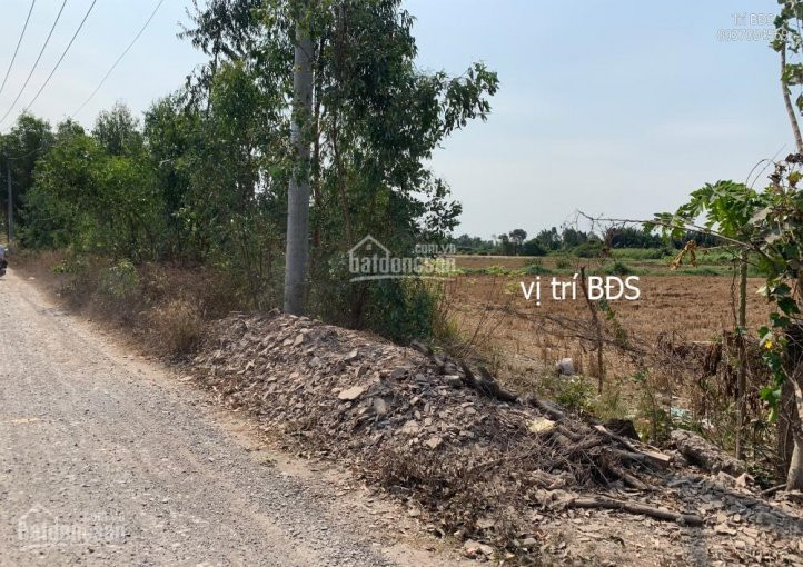 Trí Bđs, đất 7700m2 Mặt Tiền Kênh 8 Ngay Kcn Lê Minh Xuân, Bình Chánh, Quy Hoạch Kdc, đẹp, Giá Tốt 6