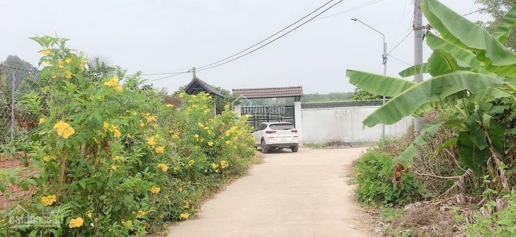 Vườn Nghỉ Dưỡng View Sông đồng Nai Cực đẹp, Cách Trung Tâm Biên Hoà Khoảng 25km, Cách Hcm 40km 1