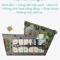 Chính Chủ Bán 2 Căn Shophouse Mặt Tiền Duy Nhất Tại Dự án D-vela - 1177 Huỳnh Tấn Phát, Quận 7, Hcm
