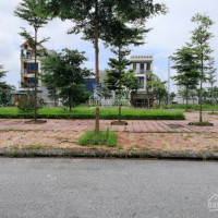 Chính Chủ Bán Lại Gấp ô đất Alk08 - 50, đường Công Viên Vườn Hoa Hồ Khu A đô Thị V-green City