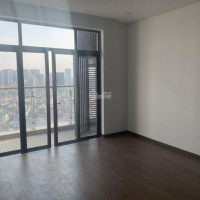 Chính Chủ Bán Nhanh Căn Duplex Chung Cư Mandarin Garden Hoàng Minh Giám, Dt 266m2, 4 Pn