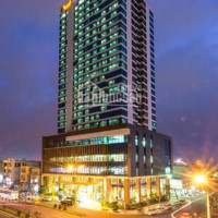 Chính Chủ Bán Nhanh Gấp Siêu Building 20 Tầng, Dt: 40 X 45m, Thu Nhập Khủng 24 Tỷ/năm Call 0977771919
