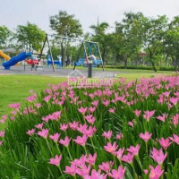 Chính Chủ Bán Nhanh Nhà Park Riverside Quận 9, 110m2, Giai đoạn 1 đã Có Sổ