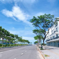 Chính Chủ Bán Nhanh Shophouse A1 A4 E Nguyễn Sinh Sắc Ck Lên đến 8%