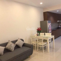 Chính Chủ Cho Thuê Nhanh Căn Hộ Mini Gần Sunrise City,  đường 71, Phường Tân Quy, Quận 7 Diện Tích 35m2