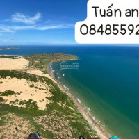 đất Mặt Tiền Dt719b & Ven Trục Liền Kề Novaworld Phan Thiết