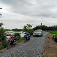 Hạ Giá 50tr Bán Gấp đất Thổ 5x30m View Sông Vàm Cỏ ở Tân Phú đức Hòa
