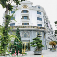 Kiến Hưng Luxury Hà đông Liền Kề 129,8m2 đường Lớn 60m Vỉa Hè Rộng Trước Sau Nhà 31 Tỷ