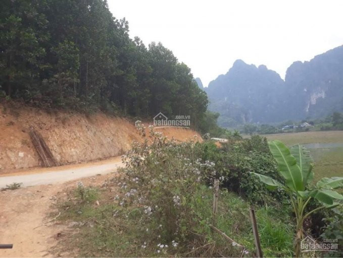 17ha Rừng Tại Kim Bôi, Chỉ 400tr/ha Lh: 0967958045 1