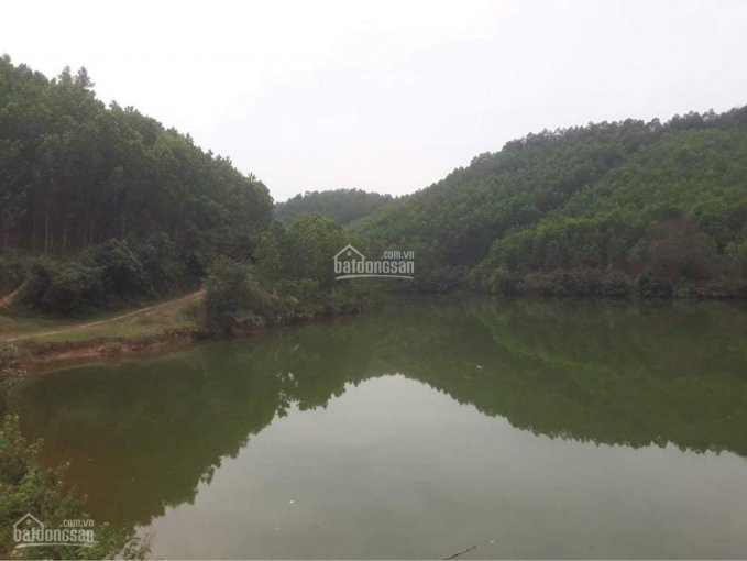 17ha Rừng Tại Kim Bôi, Chỉ 400tr/ha Lh: 0967958045 2