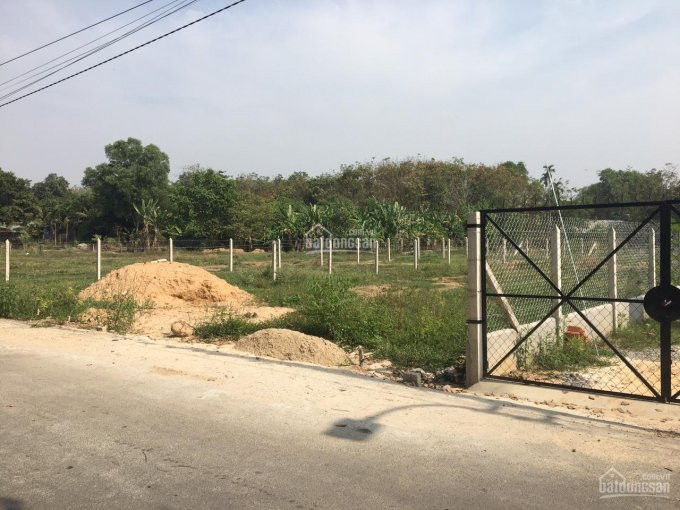 5,7x42=246m2 đường Nhựa An Tây  053 - Bến Cát Có 100m2 Thổ Cư Giá 1ty6-sổ đỏ Lh 0934715777 3