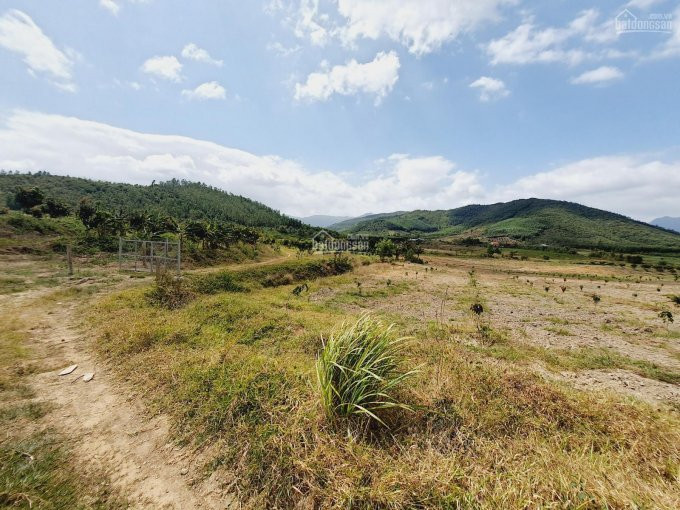 75ha đất Tchnk đã Trồng Cây ăn Trái Hết đất, View Triền đồi Cực đẹp Giá Chỉ 3 Tỉ, Lh 0342927378 7