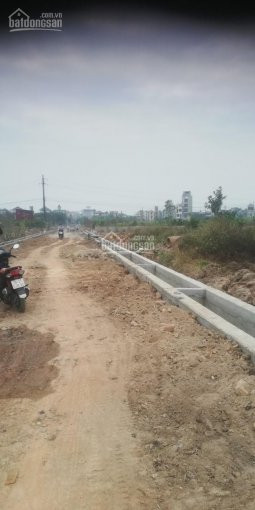 99 Triệu/1m2 Thị Trấn Quang Minh, Mê Linh, Hà Nội (tên Cũ ấp Tre, ấp Quan) Ngõ Thông Trục Chính 2