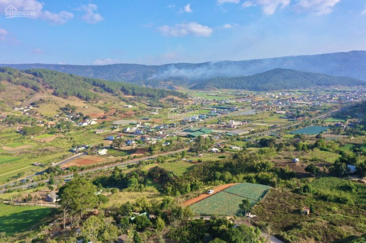 Bán 2575m2 đất Xây Dựng- Nghỉ Dưỡng  View Thung Lũng Sương Mù - Chân đèo Preen đà Lạt 1