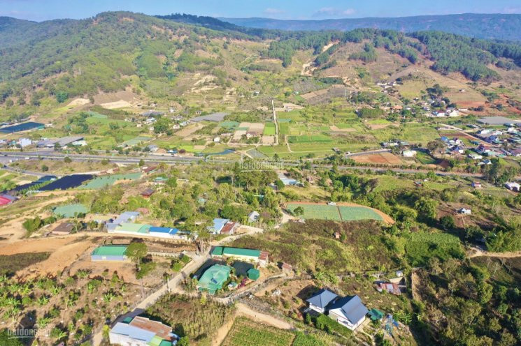 Bán 2575m2 đất Xây Dựng- Nghỉ Dưỡng  View Thung Lũng Sương Mù - Chân đèo Preen đà Lạt 2