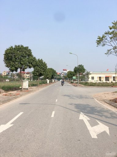 Bán đất Trung Tâm Giao Tự, Kim Sơn, Gia Lâm 86m2, đường ô Tô Thông 1