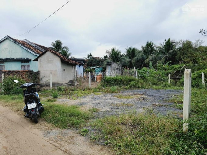 Bán Lô đất đẹp Phú đa , Ninh Hưng, Tx Ninh Hòa Diện Tích: 152m Full Thổ Cư 4